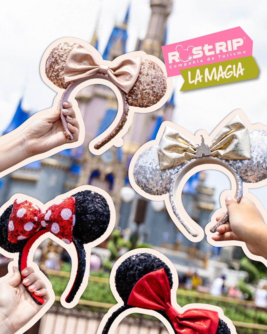 WhatsApp Image 2026-02-12 at 16.07.49 (2)